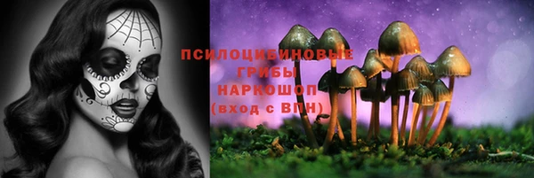 spice Алексеевка