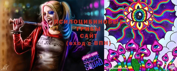 spice Алексеевка
