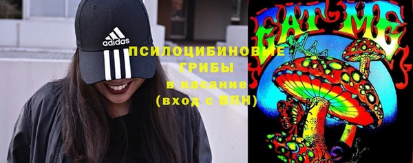 spice Алексеевка