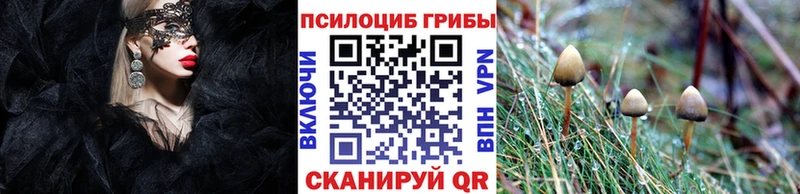 Купить  Туапсе  Галлюциногенные грибы Psilocybine cubensis 